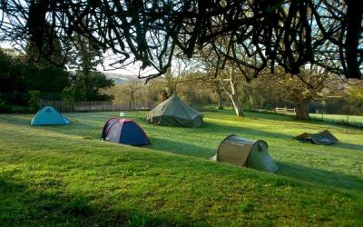Tents in the early morning