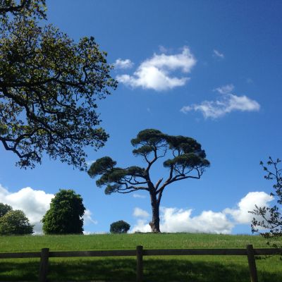 Fun, Fitness and Families - 