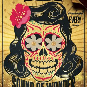 The Sound of Wonder Show