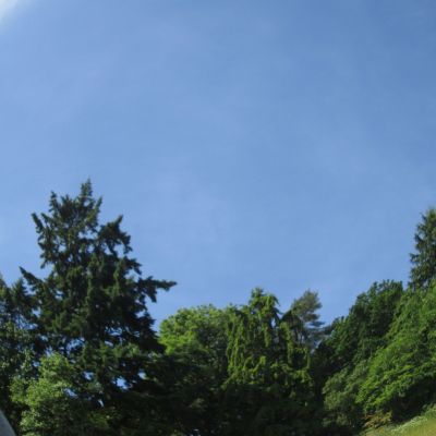 Our Community - Dartington and Totnes