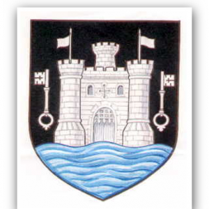 The Totnes Town Council Meeting Show